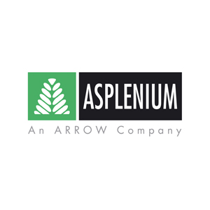 logo asplenium